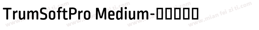 TrumSoftPro Medium字体转换